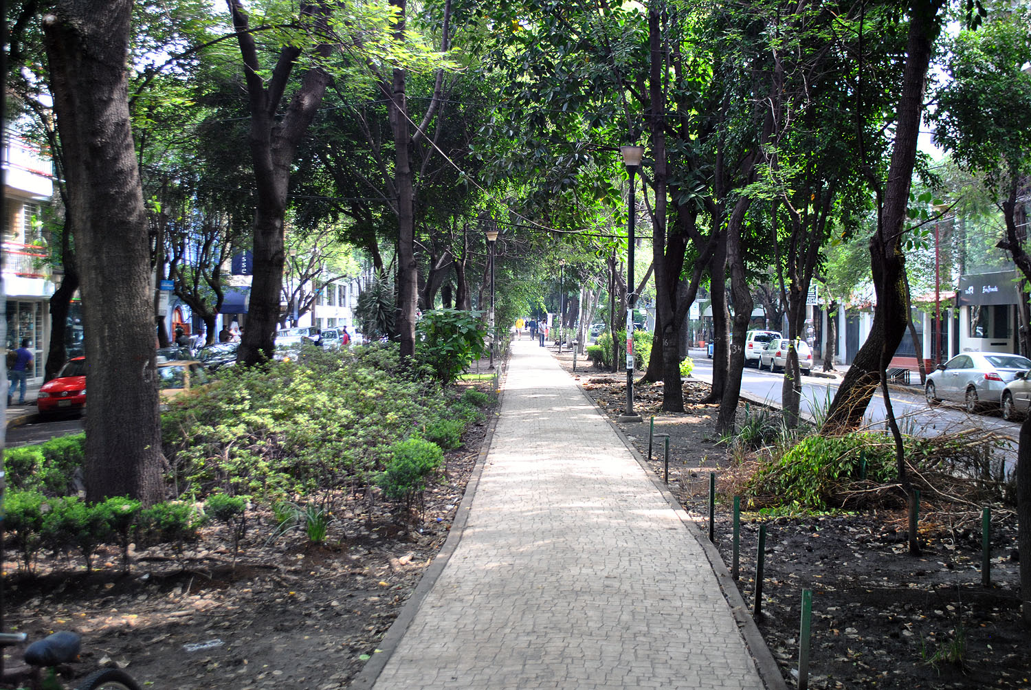 The tree-shaded paved walkway running down the centre of Avenida Ámsterdam in Colonia Condesa, with traffic lanes and low buildings on either side