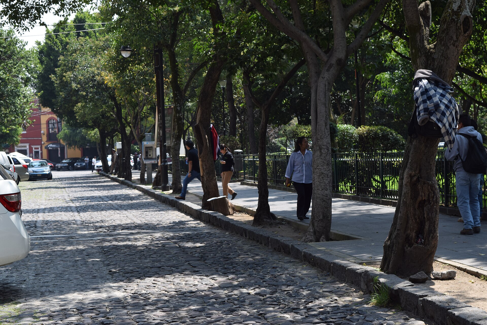 A cobbled street beside Plaza San Jacinto in San Ángel, lined with mature trees and an iron railing, with people walking on the pavement