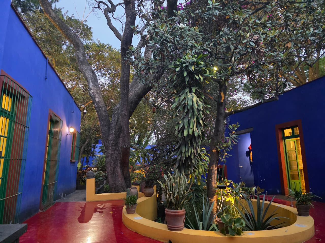 The courtyard of the Casa Azul at dusk, with cobalt blue walls, a red painted floor, a yellow planter and a large tree