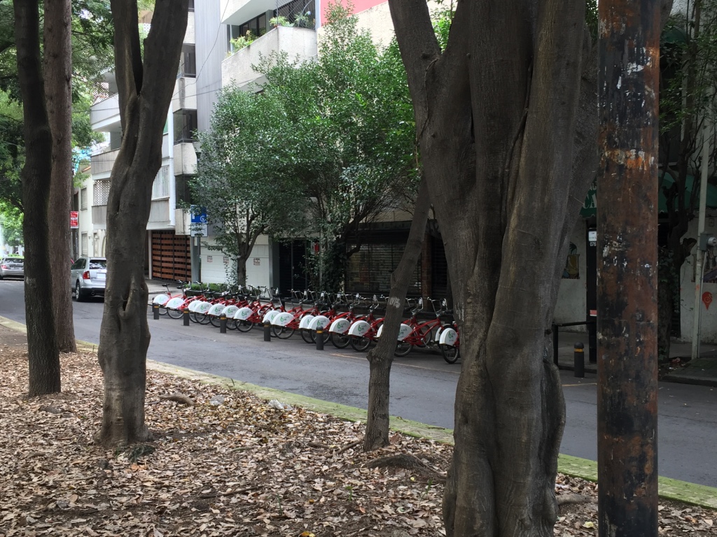 A row of red Ecobici share bicycles docked on the tree-shaded central median of a street in Condesa
