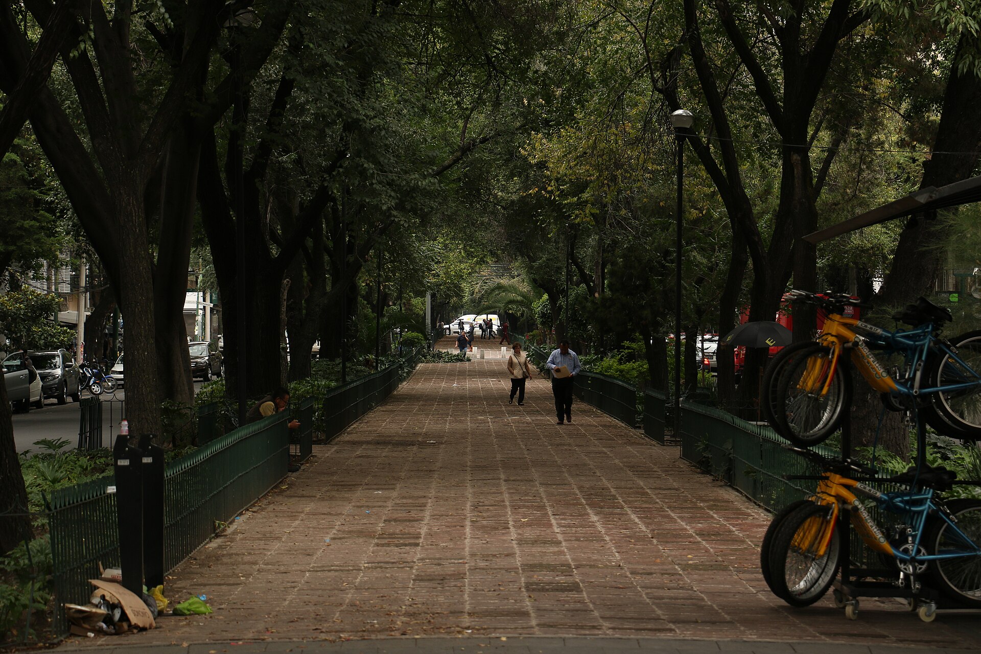 Tree-lined brick pedestrian median running down the centre of a street in Colonia Roma Norte with people walking